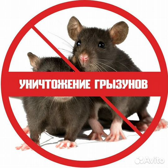 Уничтожение обработка клопов тараканов Дезинфекция