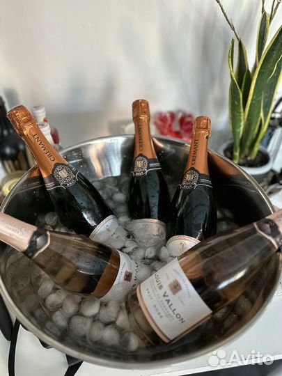 Дегустация вина в подарок