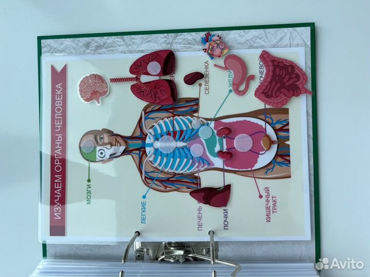 Развивающий альбом для детей на липучках