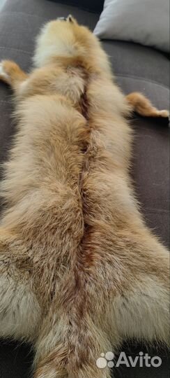 Шкура лисы выделанная