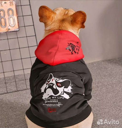 Одежда для собак