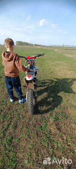 Питбайк 140 cc