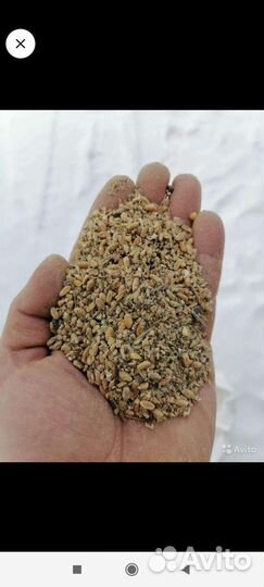 Комбикорм для кур несушек