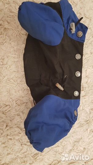 Одежда для собак