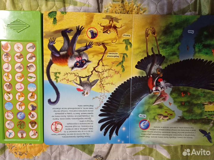 Развивающая книга