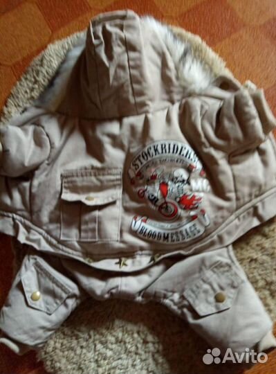 Комбинезон для маленькой собачки, зима, для йорка