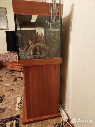 Аквариум 200 литров с тумбой