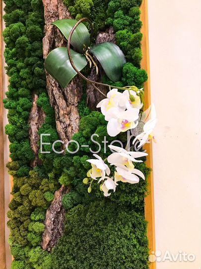 Панно со мхом и орхидеей