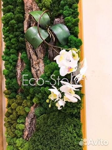 Панно со мхом и орхидеей