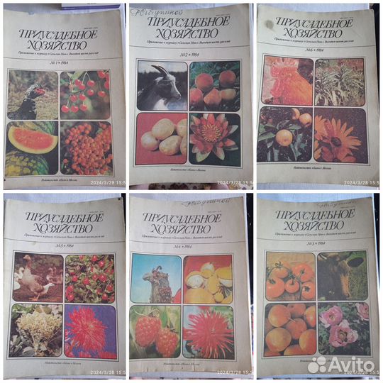 Журналы Приусадебное хозяйство