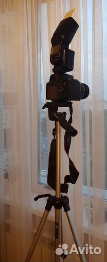 Sony A290 c оборудованием расширения функционала