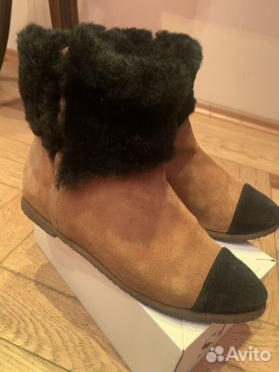Сапоги женские демисезонные замшевые