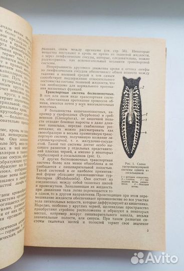 Кабанов А.Н. Физиология человека и животных 1965г