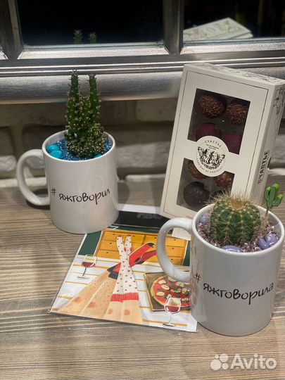 Именные кружки с кактусами