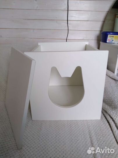 Домашние животные кошки