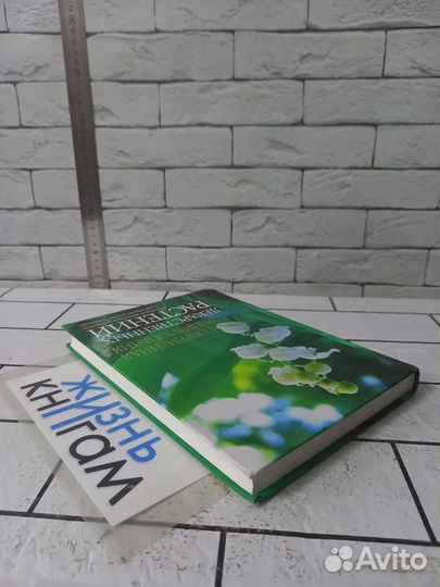 Современная энциклопедия лекарственных растений