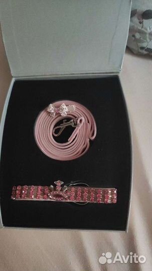 Одежда для собак. Плавки. Ошейник