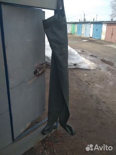 Забродники