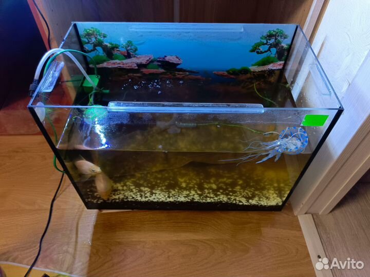 Аквариум с декором
