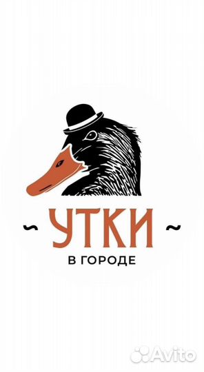 Бармен-бариста