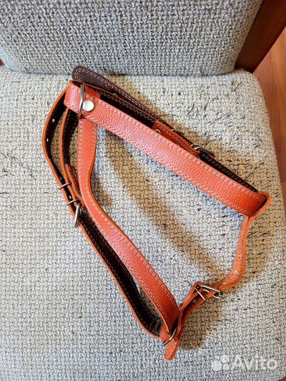 Продам шлейку для собаки