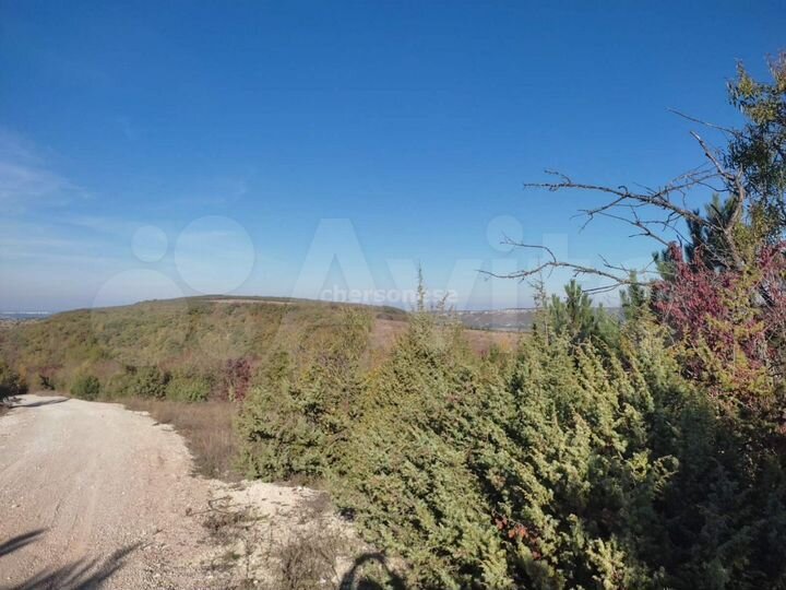 Участок 1,35 га (СНТ, ДНП)
