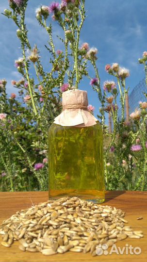 Сыродавленное масло расторопши 250мл Алтай