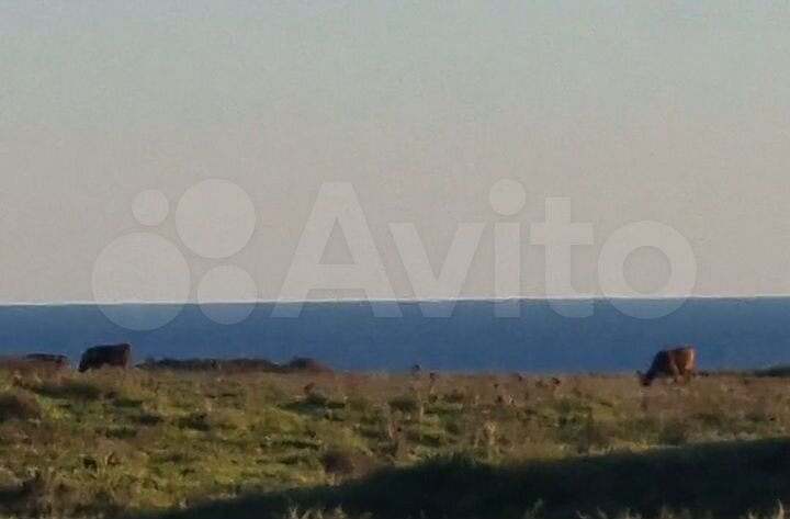 Участок 52,5 сот. (ИЖС)