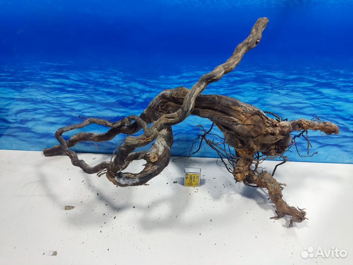 Коряги для интерьера