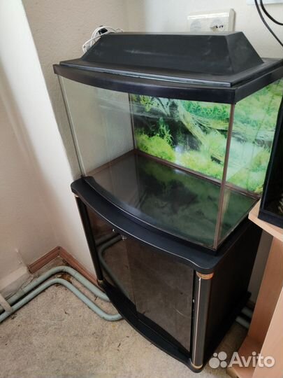 Аквариум с тумбой 50 л