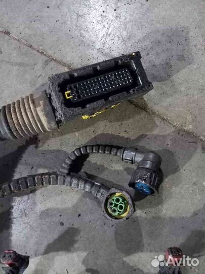 Проводка DAF XF105 (коса) двигателя верхняя