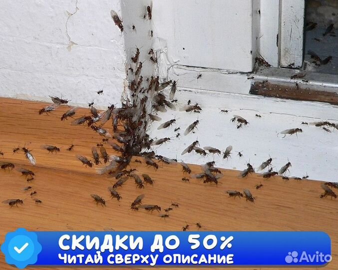 Уничтожение обработка клопов тараканов Дезинфекция