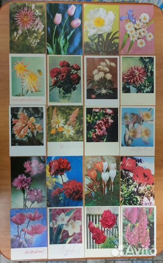 Открытки 60 годов СССР