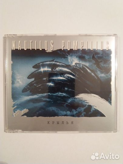 CD воскресенье, К. Никольский, наутилус, Б.Г., ддт