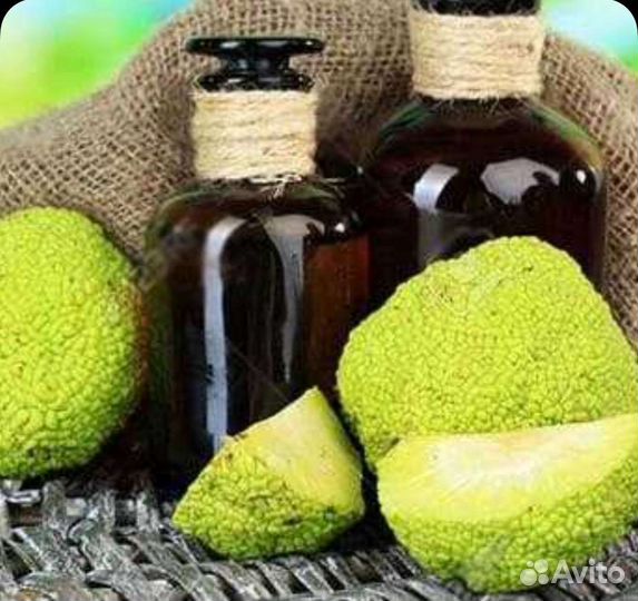 Вытяжка Маклюры