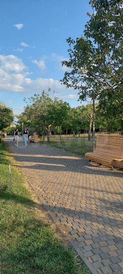 Комната 15 м², 1/3 эт.