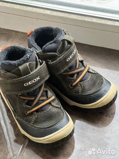 Зимние ботинки geox 26