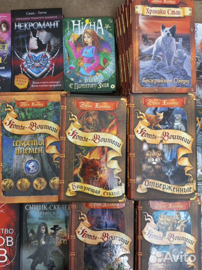 Книги Хантер, Коты-воители, хроники стаи