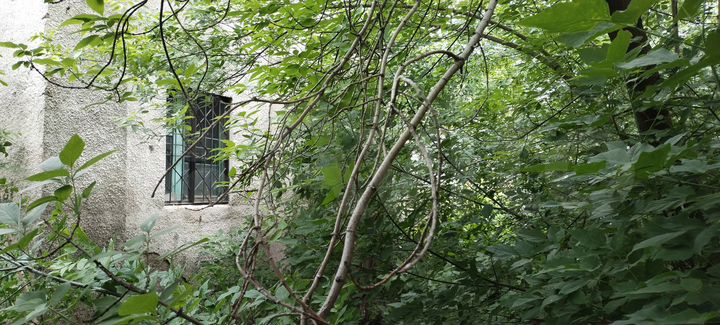 Свободного назначения, 184 м²