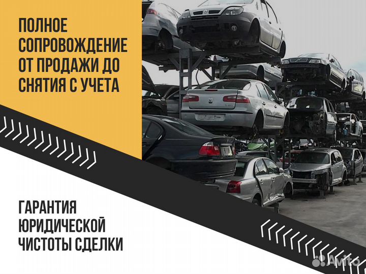 Выкуп авто