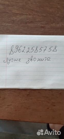 Рассада бархатцы