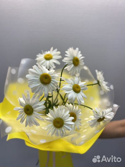 Цветы/букет ромашек