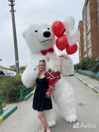 Белый медведь поздравление в Туле