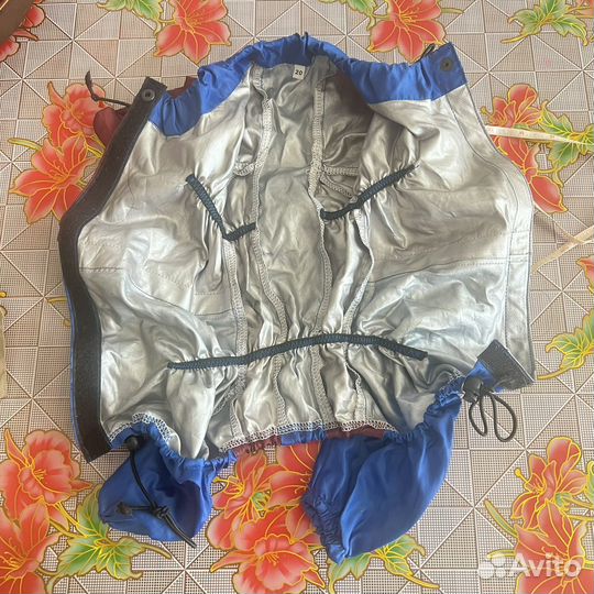 Одежда для собак, ветровка