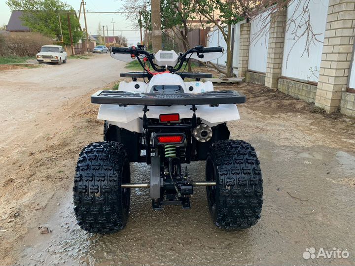 Avantis Hunter 8 new