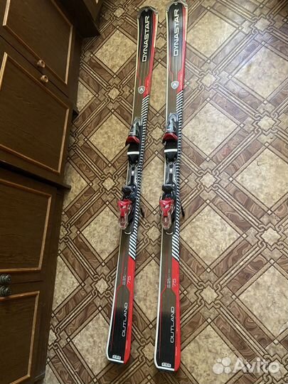 Горные лыжи