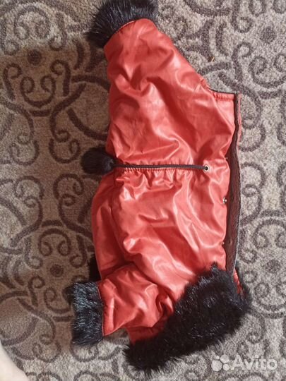 Комбинезон для маленькой собаки зима