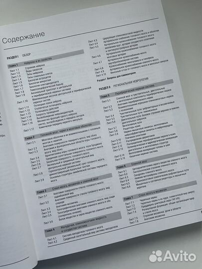 Анатомия Неттера: атлас-раскраска