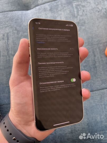 iPhone 12 Pro Max, 256 ГБ