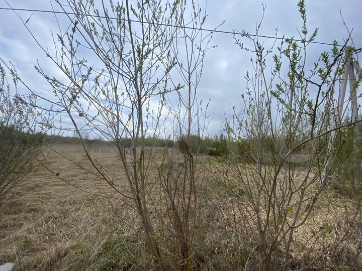 Участок 8 сот. (СНТ, ДНП)